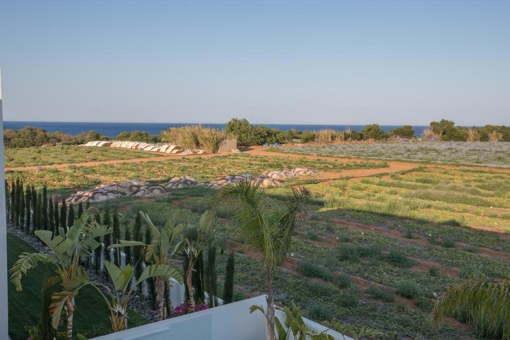 פאראלימני The White H Villa, Protaras, Fresh And Peaceful מראה חיצוני תמונה